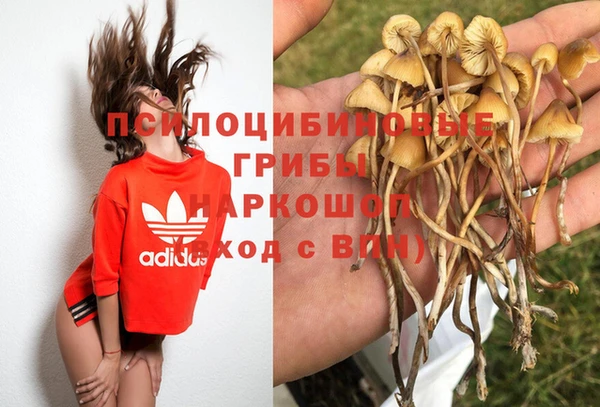 2c-b Алексеевка