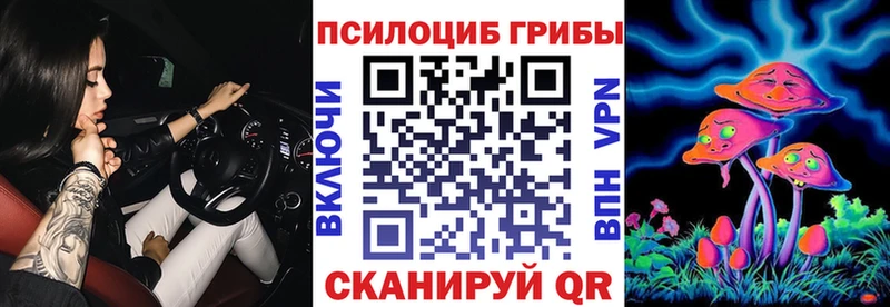 Псилоцибиновые грибы Psilocybine cubensis  Кудымкар 